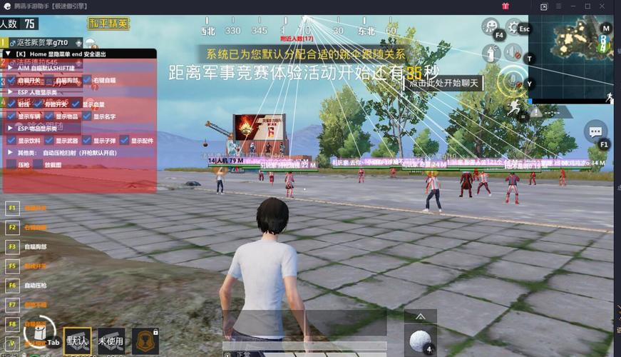 和平精英《圣女果》直装外挂全网首发上市